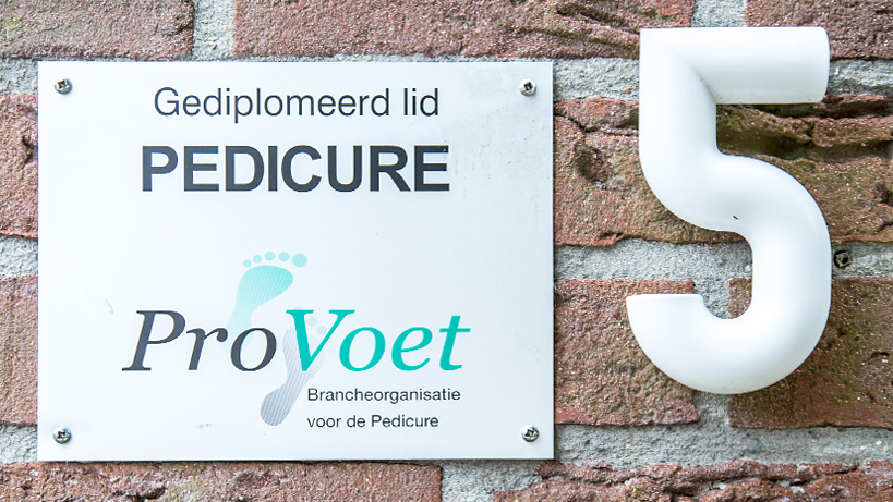 Pedique-Anique_IMG08