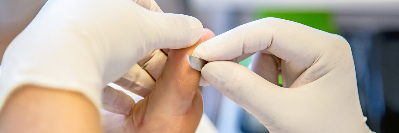 Pedique-Anique_IMG03