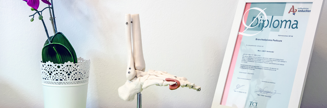 Pedique-Anique_IMG05