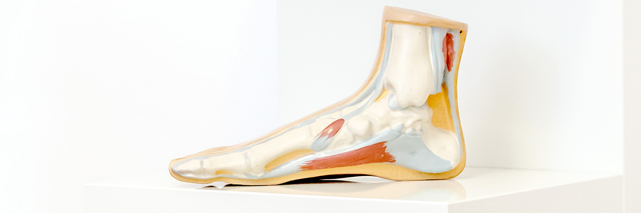 Pedique-Anique_IMG10